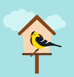 Goldfinch Sitting In Front Of Bird House