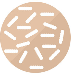 Clostridium Difficile Bad Gutbacteria Microflora