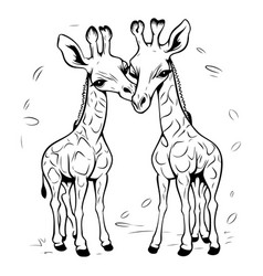 Two Giraffes Black And White For Coloring Book