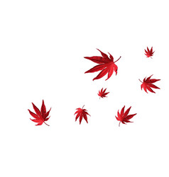 Scattered Red Leaves