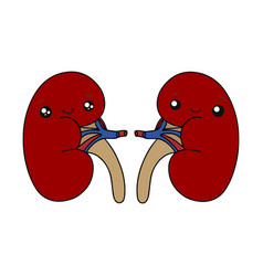 Strong Healthy Kidneys Cartoon Characters Isolated