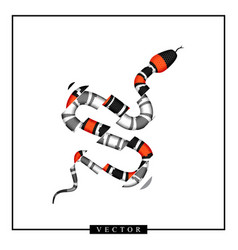 Graphic Of Coral Snake Or Micrurus