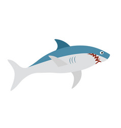 White Shark Cartoon Predatory Fish