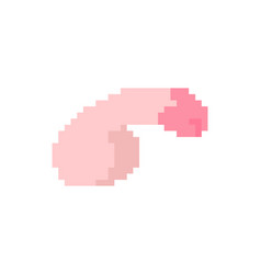 Penis Pixel Art Dick 8 Bit Pixelated