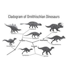 Cladogram Ornithischian Dinosaurs Monochrome