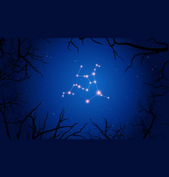 Hercules Constellation Tree Branches Starry Sky