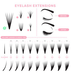 Eyelash Extension Infographics