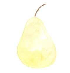 Chinese Pear Watercolor