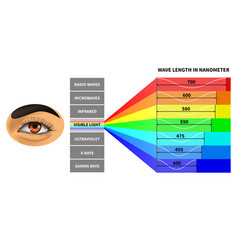 Visible Light Spectrum Color Waves Length