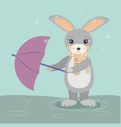 Rabbit Holds An Umbrella Wind Cold Damp