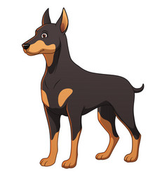 Doberman Dog Cartoon Animal