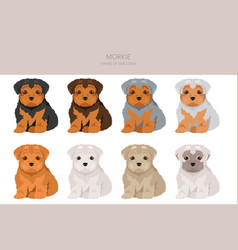 Morkie Clipart Maltese Yorkshire Terrier Mix