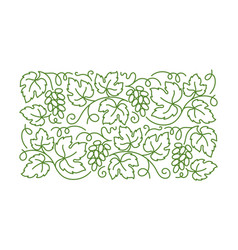 Vine Floral Ornament Thick Line Pattern Grape