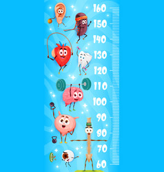 Kids Height Chart Ruler Cartoon Human Organs Sport