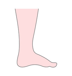 Human Foot In Side View Flat Style