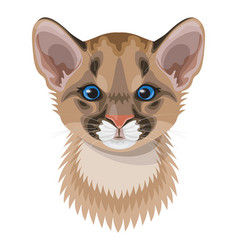 Funny Cougar Cub Portrait