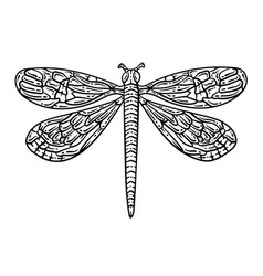 Dragonfly Spring Coloring Page For Adults