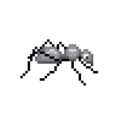 Pixel Ant