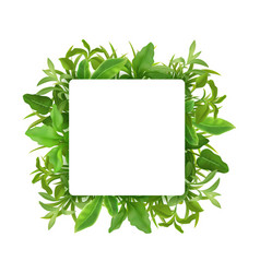 Grass Leaves Realistic Frame