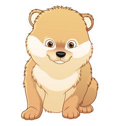 Little Pomeranian Dog Cartoon Animal