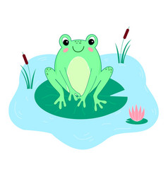 Hand Drawn Frog Cartoon