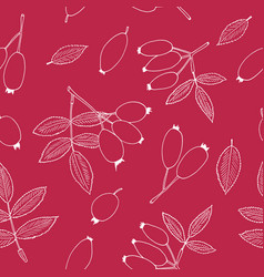 Rosehip Berries And Leaves Seamless Pattern Hand