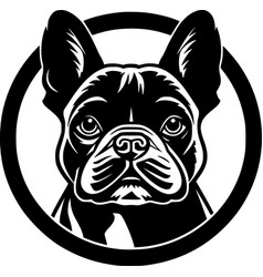 French Bulldog - Black And White