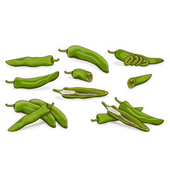 Set Of Green Anaheim Peppers Cartoon Style