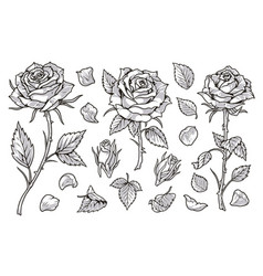 Spring Flowers Set Stickers Monochrome