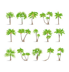 Isolated Palms Set