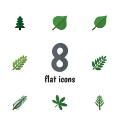 Flat Icon Bio Set Of Hickory Acacia Leaf Maple