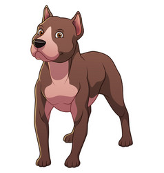 Pitbull Dog Cartoon Animal