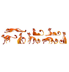 Cartoon Zoo Cheetah Jumping And Running Set