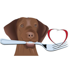 Dog With Fork In His Mouth With Fork In His