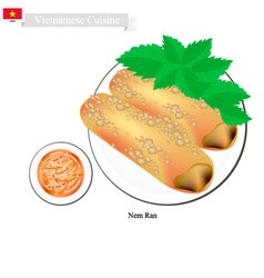 Nem Ran Or Vietnamese Crispy Spring Rolls