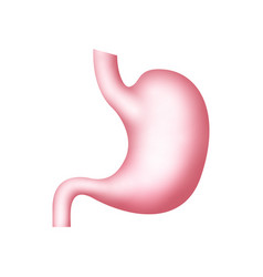 Stomach Icon Gastric Human Health