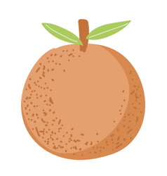 Orange Fruit Icon