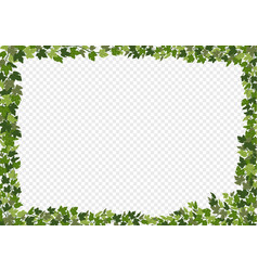 Ivy Frame Green Vines Decorative Frame