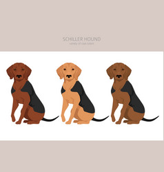 Schiller Hound Clipart All Coat Colors Set