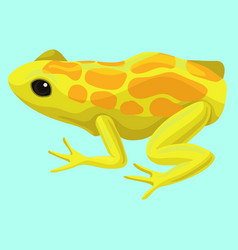 Yellow Spotted Frog Reptile Animal