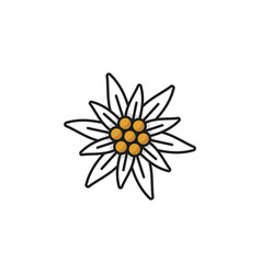 Edelweiss Flower Isolated Mountain Wildflower Icon