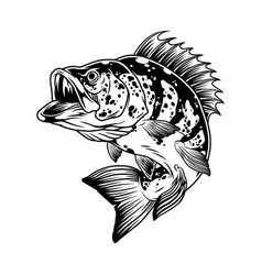 Bass fish skeleton monochrome concept Royalty Free Vector