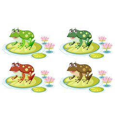 Cute Frog On Lily Pad White Background