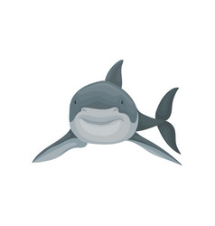 Shark Swimming Sea Animal Front View