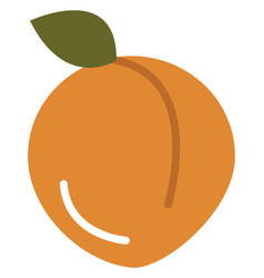 Orange Peach On A White Background