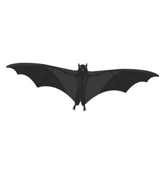 Black Bat On A White Background