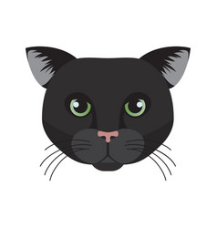 Bombay Cat Face Head Of Short Haired Black