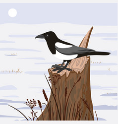 Drawing Magpie Bird At Tree Stump