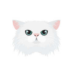 Persian Cat Face White Cute Longhair Kitty Head