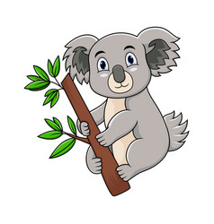 Cute Koala Cartoon On A Tree